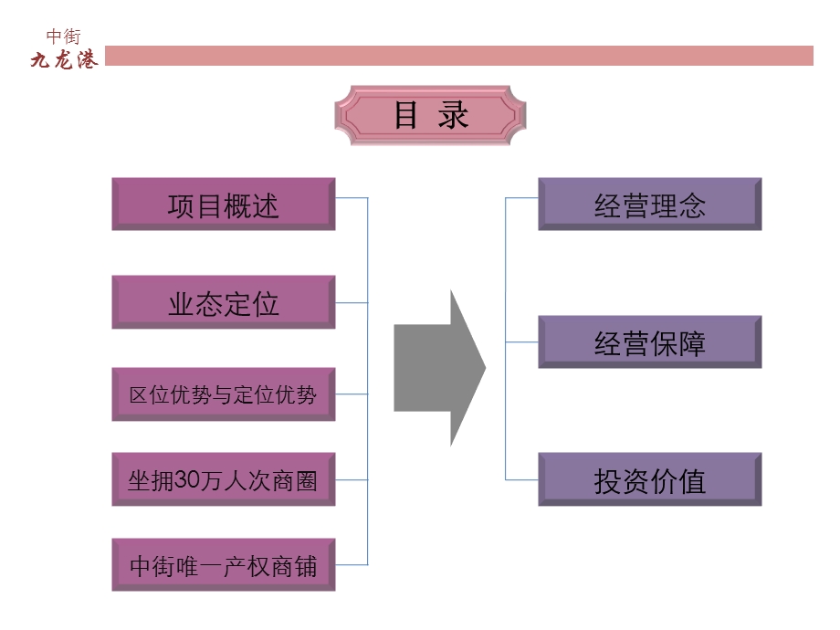 辽宁沈阳中街九龙港项目招商手册（39页） .ppt_第2页