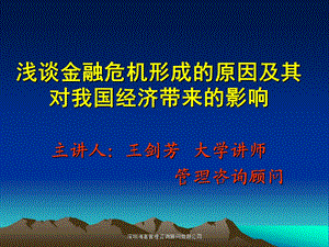 金融危机形成的原因及其对我国经济带来的影响.ppt