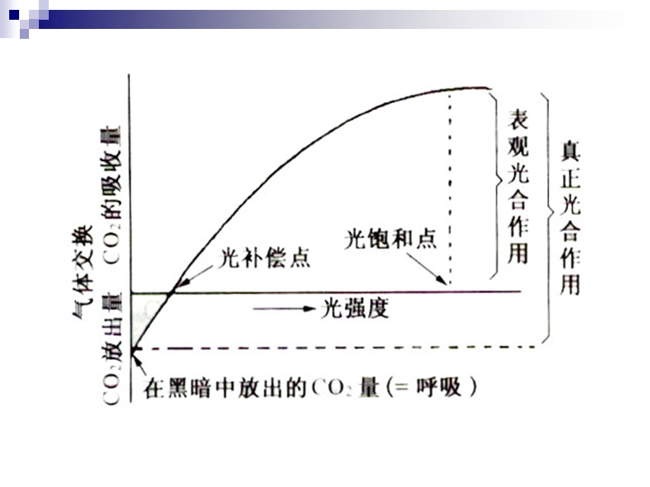 光合作用与呼吸作用综合图表计算题专项讲解.ppt_第2页