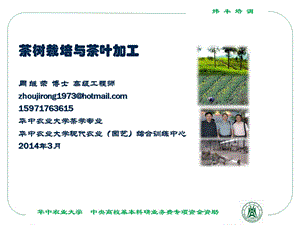 茶树种植与加工.ppt