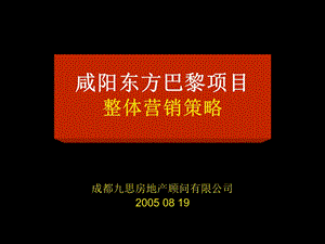 咸阳东方巴黎商业项目营销方案.ppt