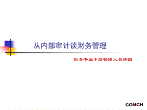 财务专业中层管理人员培训：从内部审计谈财务管理.ppt