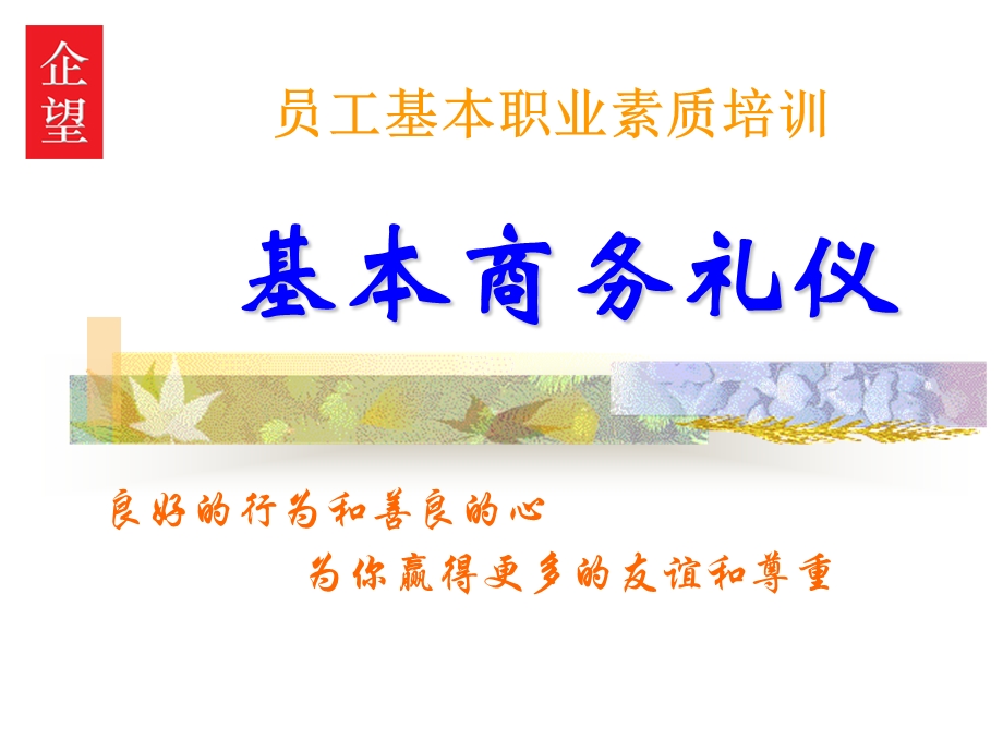 商务礼仪教程.ppt_第1页