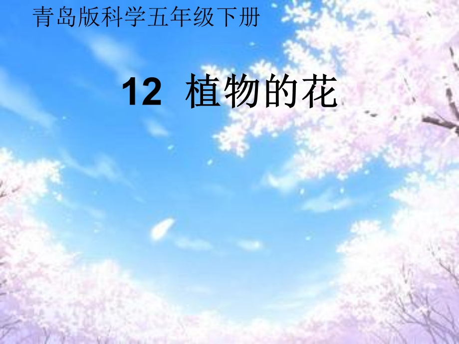 青岛版小学科学五级下册《植物的花》ppt.ppt_第1页