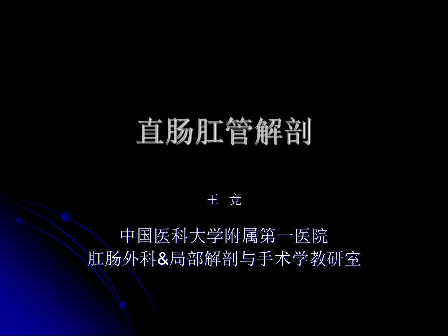 直肠肛管解剖（精品PPT） .ppt_第1页