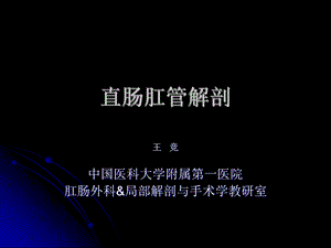 直肠肛管解剖（精品PPT） .ppt