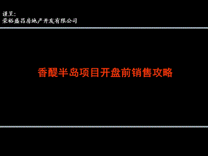 香醍半岛项目开盘前销售攻略 55页.ppt