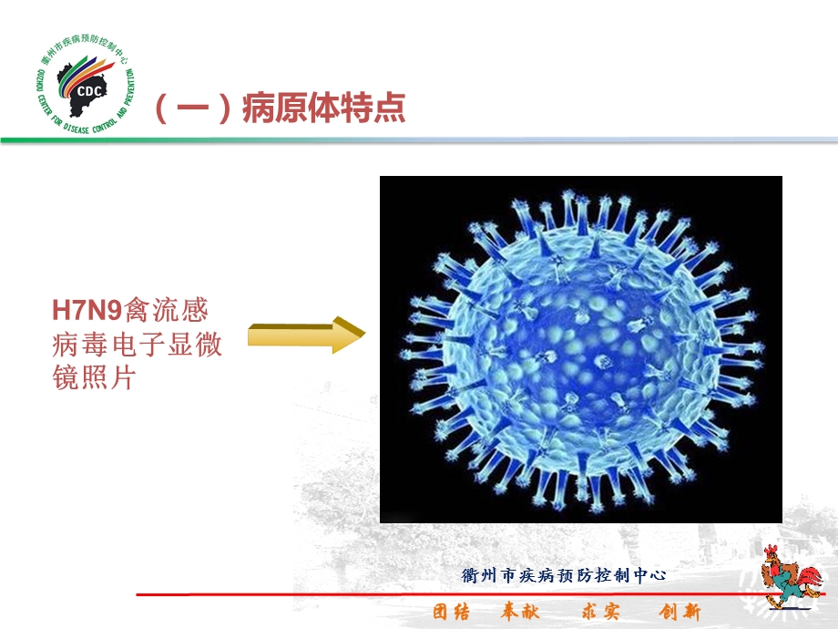 人感染H7N9禽流感防控知识讲座.ppt_第3页