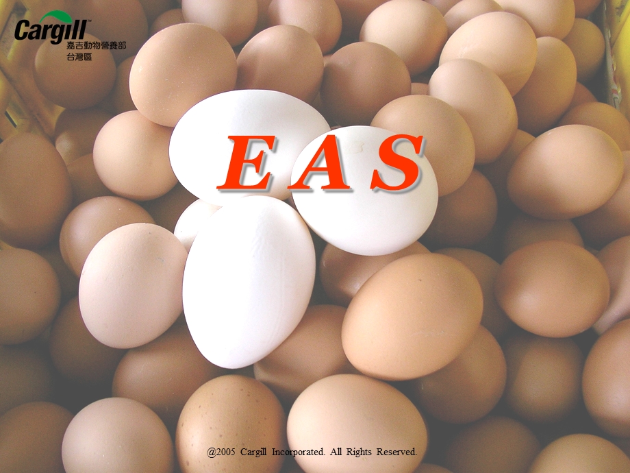 蛋鸡EAS环境管理.ppt_第1页