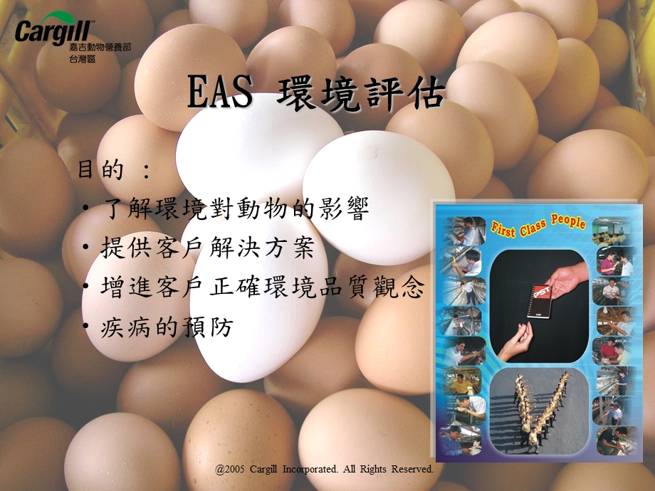 蛋鸡EAS环境管理.ppt_第3页