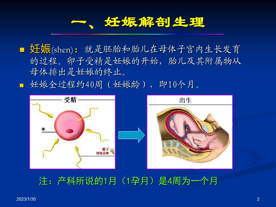 产科正常超声检查与诊断.ppt_第2页