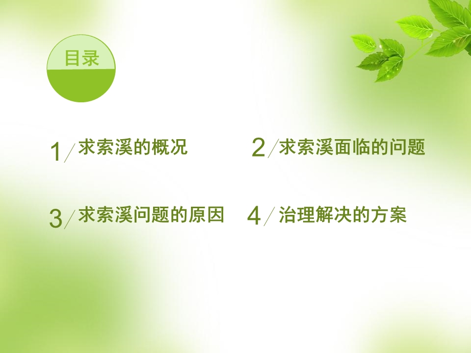 求索溪的现状和治理.ppt_第2页