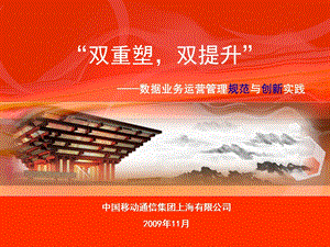 数据业务运营管理规范和创新实践.ppt