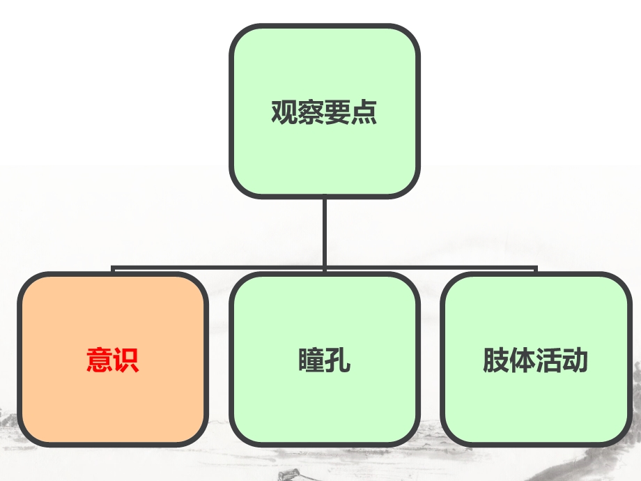 神经外科观察要点.ppt_第2页