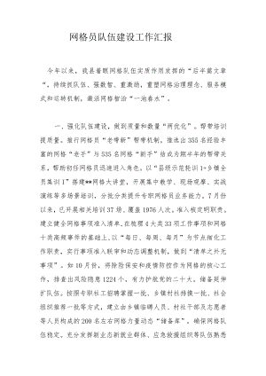 网格员队伍建设工作汇报.docx