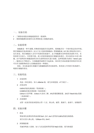 细胞通透性试验报告.docx