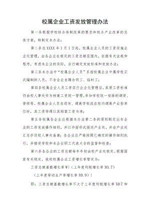 校属企业工资发放管理办法.docx