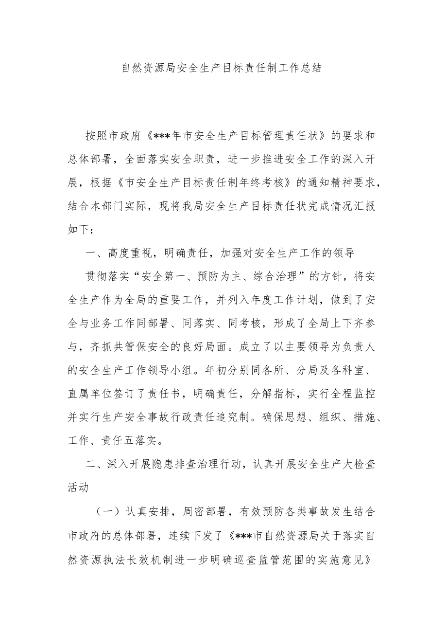 自然资源局安全生产目标责任制工作总结.docx_第1页