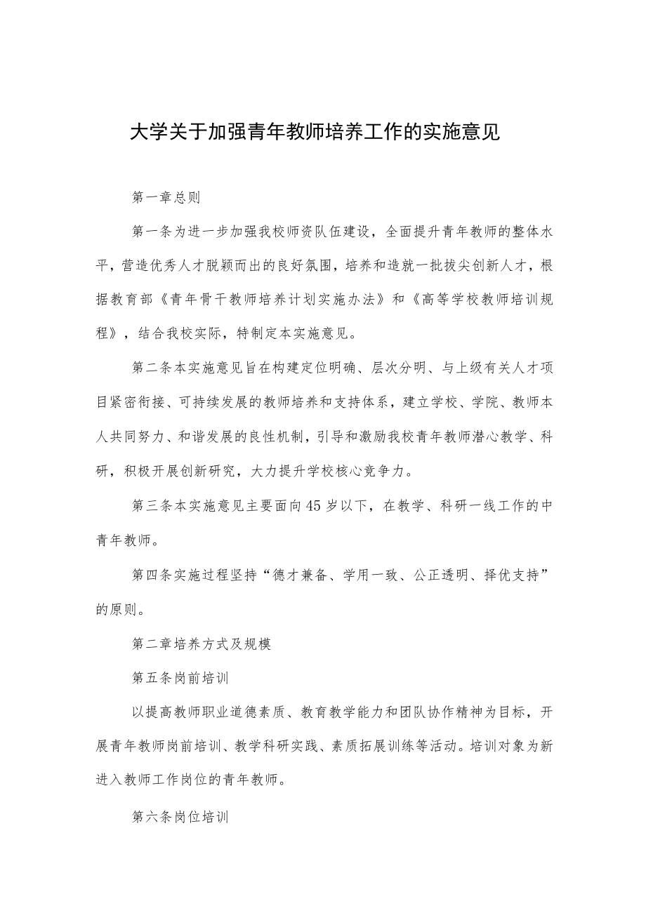 大学关于加强青年教师培养工作的实施意见.docx_第1页