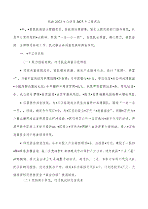 民政2022年总结及2023年工作思路.docx