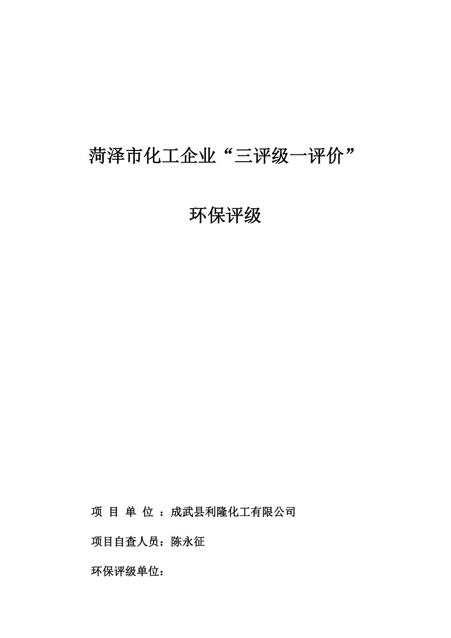 成武化工项目环保评分工作模板.docx_第1页