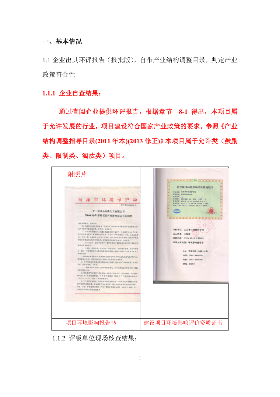 成武化工项目环保评分工作模板.docx_第3页