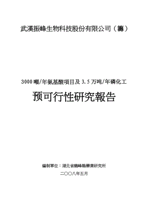 氨基酸项目和年磷化工产品项目可行性研究报告.docx