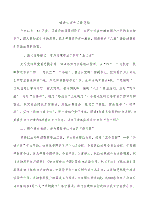 镇普法宣传工作总结.docx