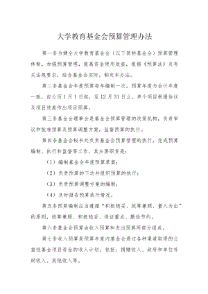 大学教育基金会预算管理办法.docx