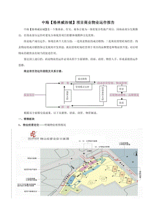 【房地产精品资料】中海【格林威治城】项目商业物业运作报告.docx