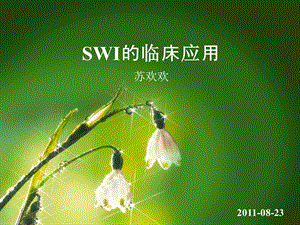 SWI的临床应用.ppt