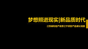 江苏保利地产南京江宁项目产品建议简报.ppt