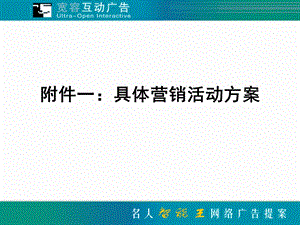 （广告策划）名人PDA智能王网络广告提案.ppt