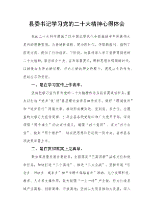 县委书记学习党的二十大精神心得体会.docx