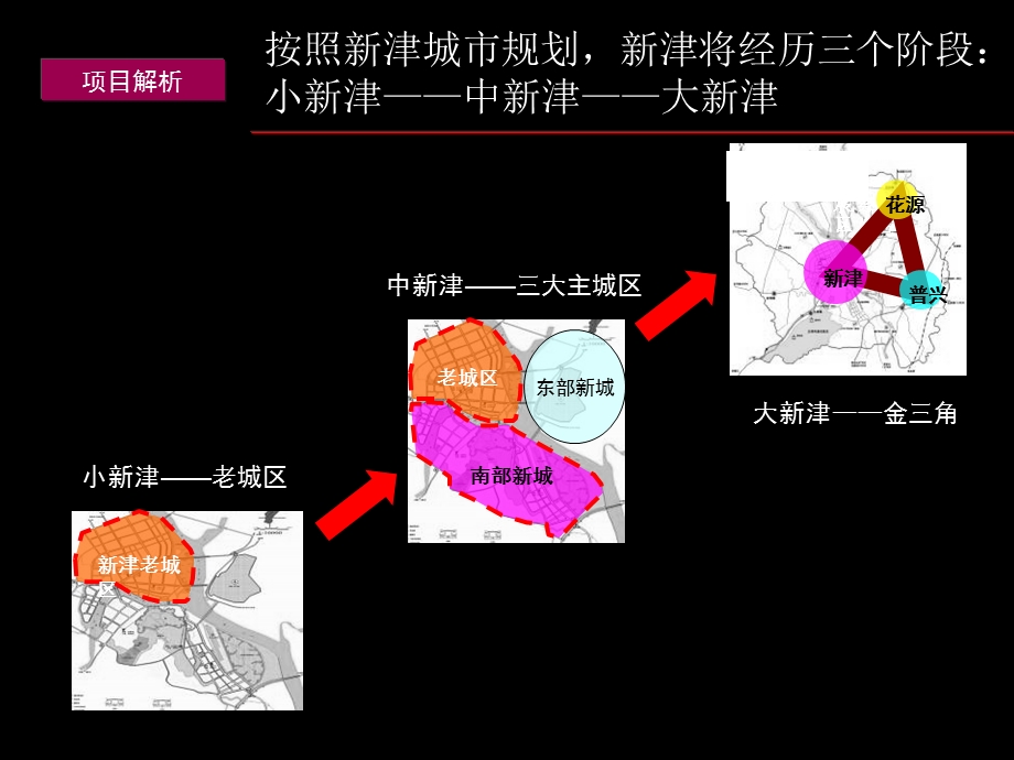 成都新津金融中心综合体项目策划方案（132P） (1).ppt_第3页