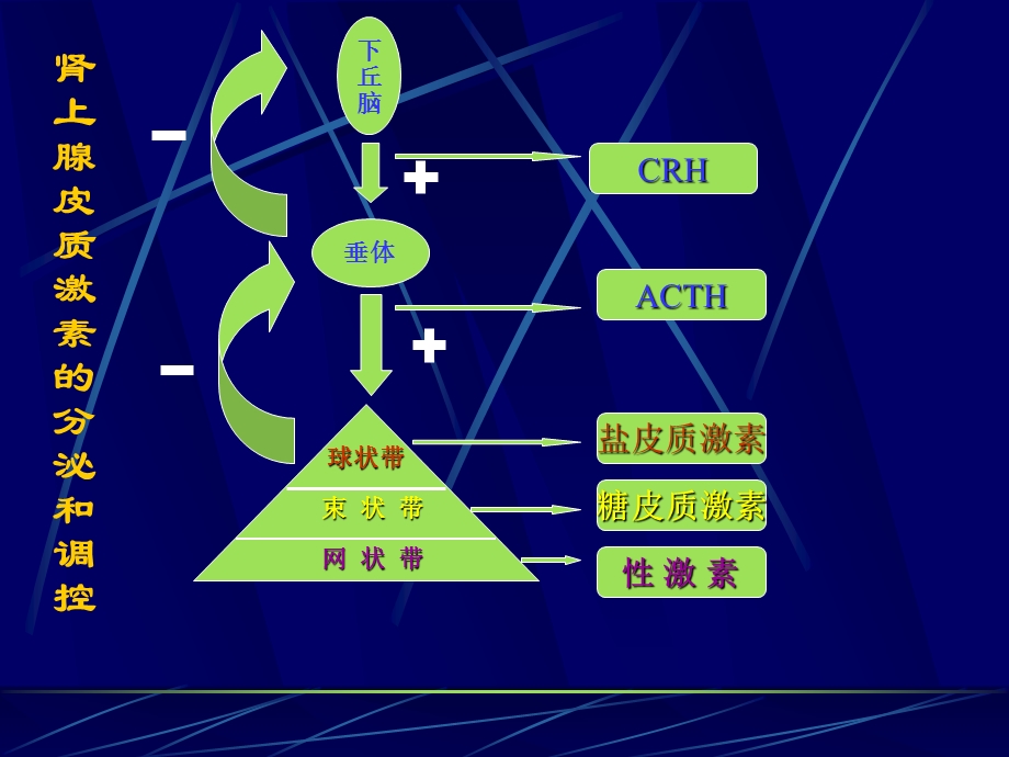 长期应用糖皮质激素治疗患者的麻醉注意事项.ppt_第2页