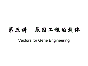 基因工程的载体(一).ppt