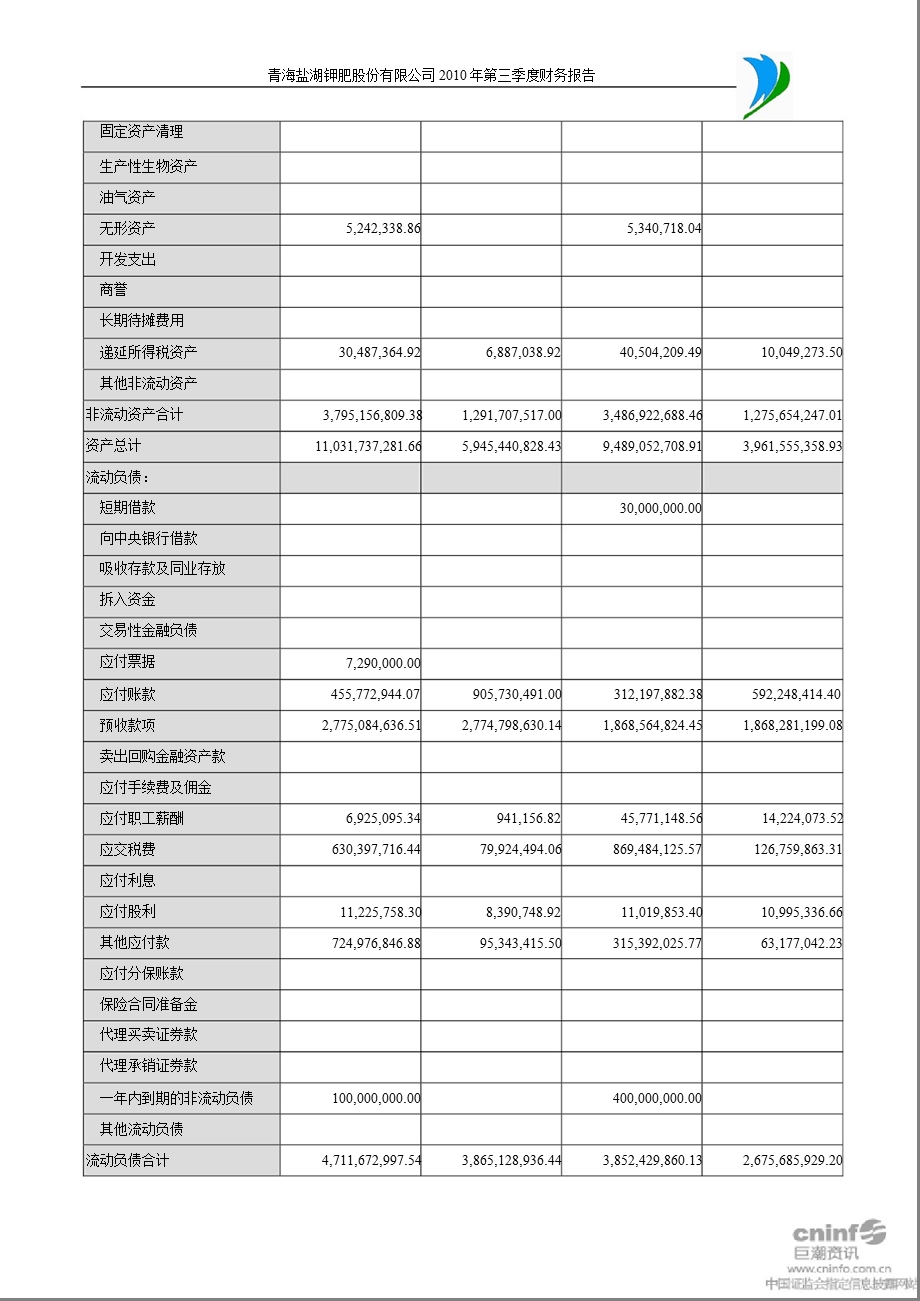 盐湖钾肥：2010年第三季度财务报告.ppt_第3页