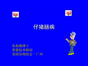 仔猪肠病朱稳森.ppt