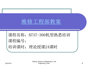 737300机型培训手册.ppt