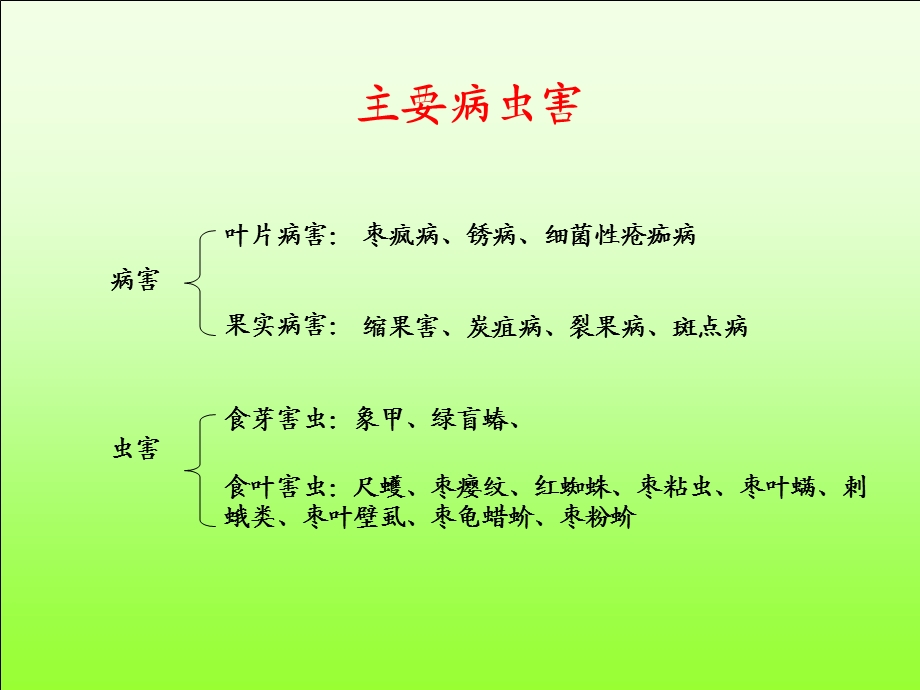 枣树病虫害.ppt.ppt_第3页