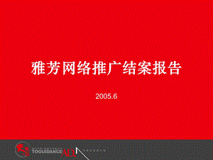 【精品文档】雅芳网络推广、广告投放、投放位置结案报告.ppt