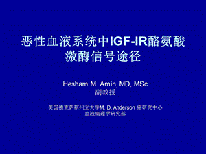 IGF-IR酪氨酸激酶.ppt