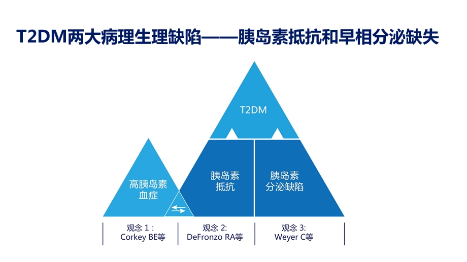 2154532506利拉鲁肽降低内脏脂肪.ppt.ppt_第3页