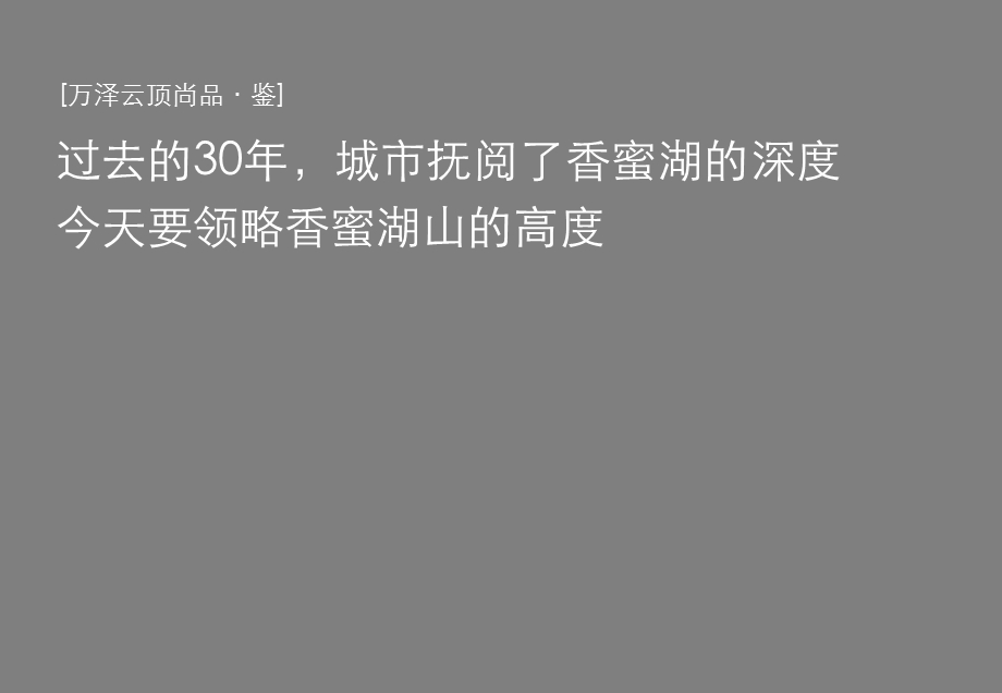 中原07月深圳万泽云顶尚品营销策略及执行报告.ppt_第2页