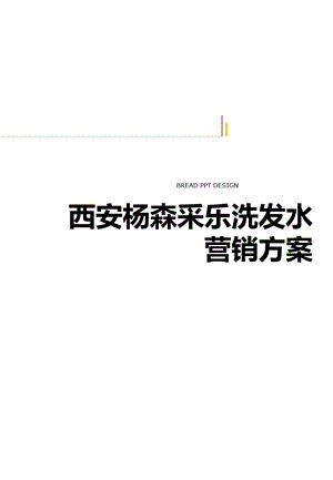 西安杨森采乐洗发水营销方案.ppt