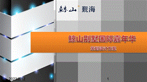 鲸山别墅国际嘉华会策划方案.ppt