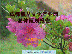 2005成都望丛文化产业园总体策划报告.ppt