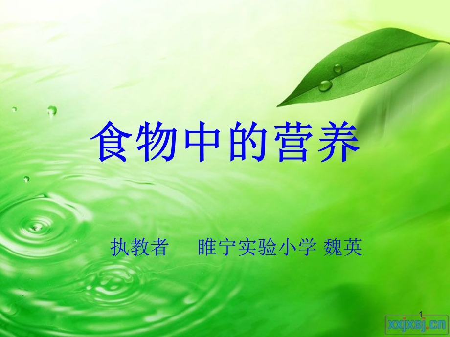 食物中的营养 ppt.ppt_第1页