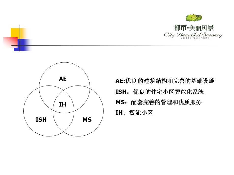 都市美丽风景智能化系统配置资料.ppt_第3页